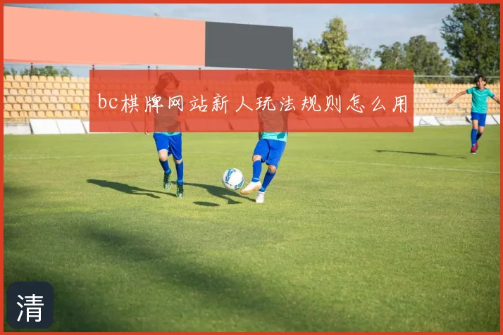 bc棋牌网站新人玩法规则怎么用